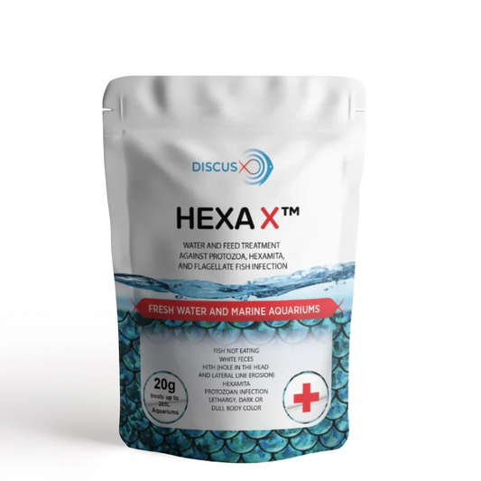 DiscusX  Hexa X - (METRODAZINOLE)